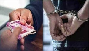 Himachal Vigilance Bureau arrets 2 Punjab professor, Recovered Rs 3.5 lakh bribe money, PCI deputed both of them for pharmacy institutions inspection