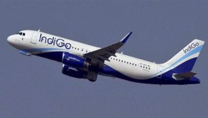 Govt unlikely to renew IndiGo pact with Turkish Airlines