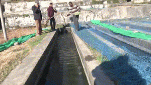 Govt Schemes Encouraging Unemployed Kashmir Youths To Turn Into Entrepreneur
