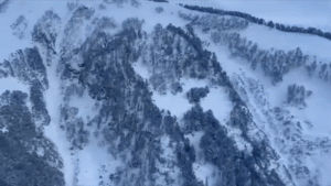 Tourists came to enjoy snowfall in Himachal, CM Sukhu shared video on social media