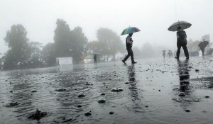 Rain, hailstorms strike several districts of MP