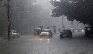 Meteorological Department’s Forecast-Rain Will Fall In 9 Districts Of Punjab And 11 Districts Of Haryana, Possibility Of Hailstorm