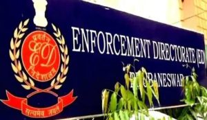 Mohali Guava Orchard Scam:- ED raids at 15 locations of IAS officers, property dealers, and farmers