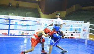 Sub Jr. Nationals: 15 Haryana boxers enter quarterfinals