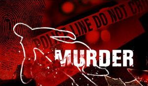 Two men stabbed to death in Delhi’s Ranhola area; investigation underway