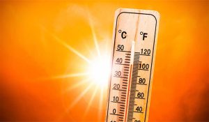 IMD issues Red alert in 6 districts of Haryana today
