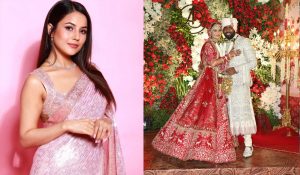 Shehnaaz Gill sends heartfelt wedding wishes to Arti Singh via video call