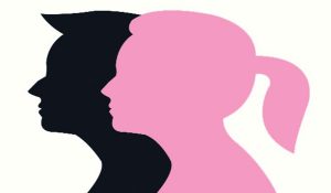 Monthly gender ratio rankings out in Haryana: Charkhi Dadri clinches first spot, Fatehabad at second