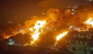 Massive forest fire broke out in Ganderbal’s Sonamarg