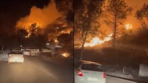 Massive fire in forest on the way of Mata Chintpurni in district Una Himachal Pradesh