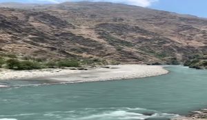 Chamba: Government servant leaps into the Ravi River