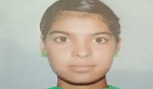 Women left home for walk Stray dogs attack on her in Gurdaspur, died on the spot