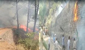 Himachal:Forest fire reached railway track in Parwanoo