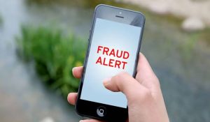 Big cyber fraud in Himachal: State cooperative bank server hacked using customer’s mobile, Rs 11.55 crore withdrawn