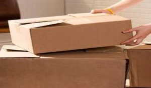 Lost & Found: Fruit seller Forgots Rs 1 lac, finds in Cardboard Box