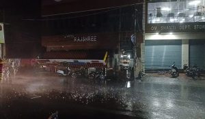 Power cut as poll breaks, trees fell with storm and drizzle in Haryana last night