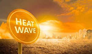 Rajasthan Weather: Heat wave intensifies, mercury crosses 35 degrees in many cities