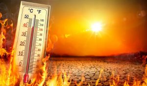 Punjab Weather update: Rain expected from 27th June; will get relief from scorching heat