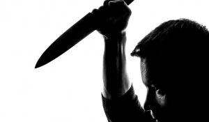 Telangana youth stabs girl to death, attempts to kill himself
