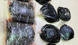 Two drug smugglers arrested in Rewari