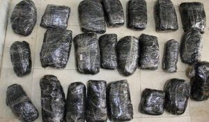 Ludhiana Police arrested drug smuggler, 1 kg opium seizes