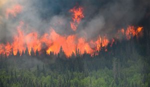 Serbia battles wildfires as extreme heat, drought intensify