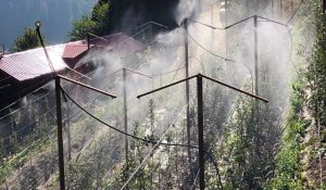 700 apple trees turns in ash in Shimla