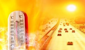 Haryana weather: IMD predicts heatwave alert for 2 days in 14 districts, Nuh is the hottest