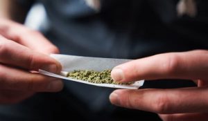 2 drug smugglers arrests, CIA seizes 630gms Cannabis