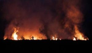 Massive fire in crop residue at night in Bawanikheda
