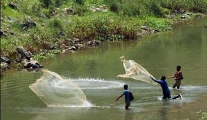 Ban on fishing in Himachal Pradesh