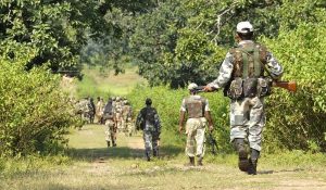 Chhattisgarh: 15 Maoists surrender in Dantewada