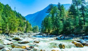 Nature-based solutions restore India’s water bodies for sustainable future