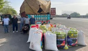 Palwal Police seizes 593 kg Poppy Husk