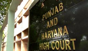 Petition filed against growing VIP culture in Punjab, Haryana and Chandigarh; HC issues notice