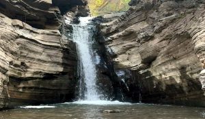 Rajasthan youth dies after stone fall from hill in Solan
