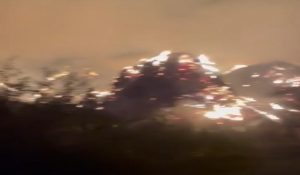 Palwal: Massive fire in animal fodder