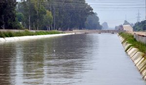 Accident averted in Sirsa: Uncontrolled car falls into canal, villagers rescue