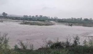 IT-ED team reached to raid stone crusher got stuck in river in Kangra Himachal