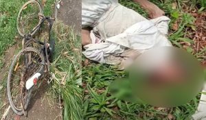 Speeding car kills farmer in Hisar, case registered against unknown driver