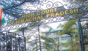 High Court orders transfer of Kullu SP and SDM: Himachal HC’s Strict stance on rave parties in forests
