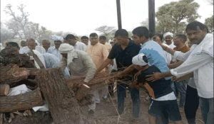 Tragedy strikes: BJP MLA only son dies suffering from liver disease in Haryana