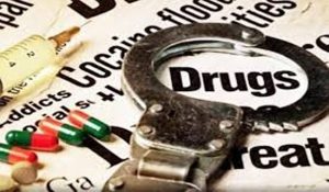 In Sirsa narcotic pills discover, 900 pills found hidden in bushes