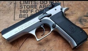 Youth arrested with illegal weapons in Hisar: 2 pistols and 13 cartridges recovered