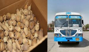 Poppy husk recovers at Samalkha bus stand in Panipat