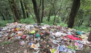More plastic sent to market, more it processed in Himachal