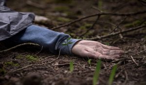 Body of young woman found in Chandigarh river: investigation underway