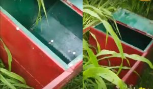 Thieves steal donation box in Shiva temple of Rewari