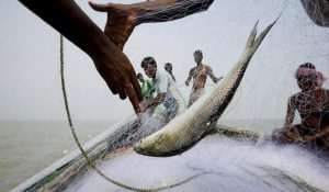 127 illegal fishing incidents uncovered in major crackdown
