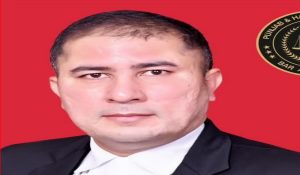Former head Vikas Malik of Chandigarh HC Bar council grants bail in assault case